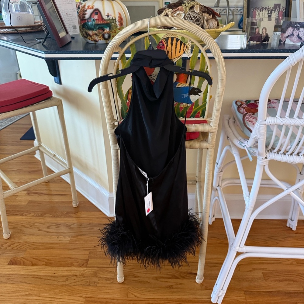 Stylish Black Lunaria Dress